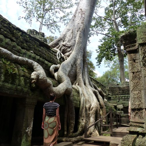 Ta Prohm Tempel, Kambodscha